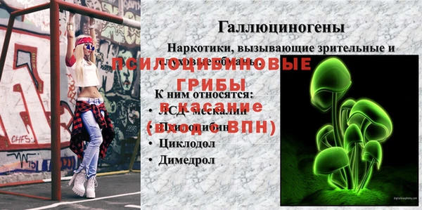 мяу мяу мука Балабаново