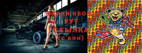прущие грибы Арсеньев