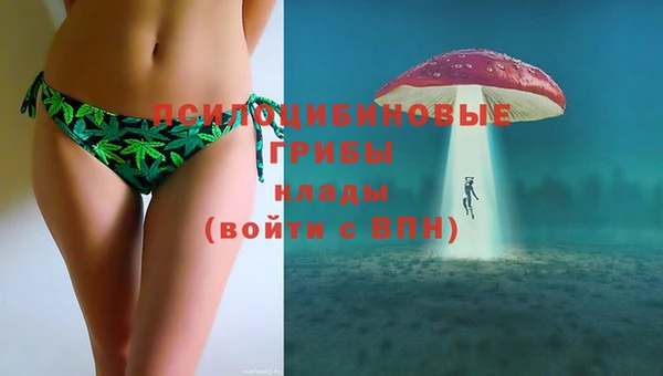 молекула духа Аркадак