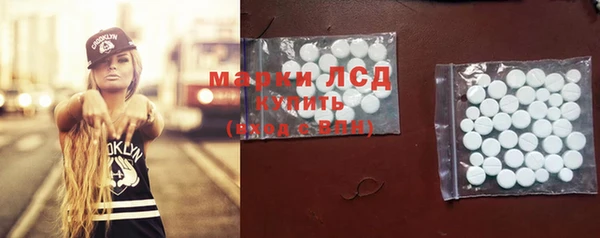 прущие грибы Арсеньев