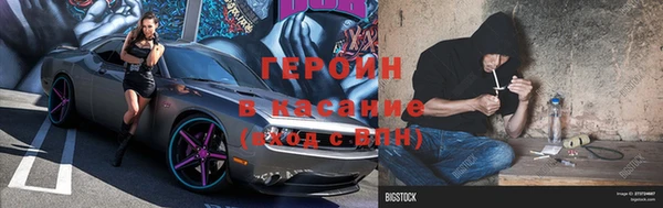 прущие грибы Арсеньев
